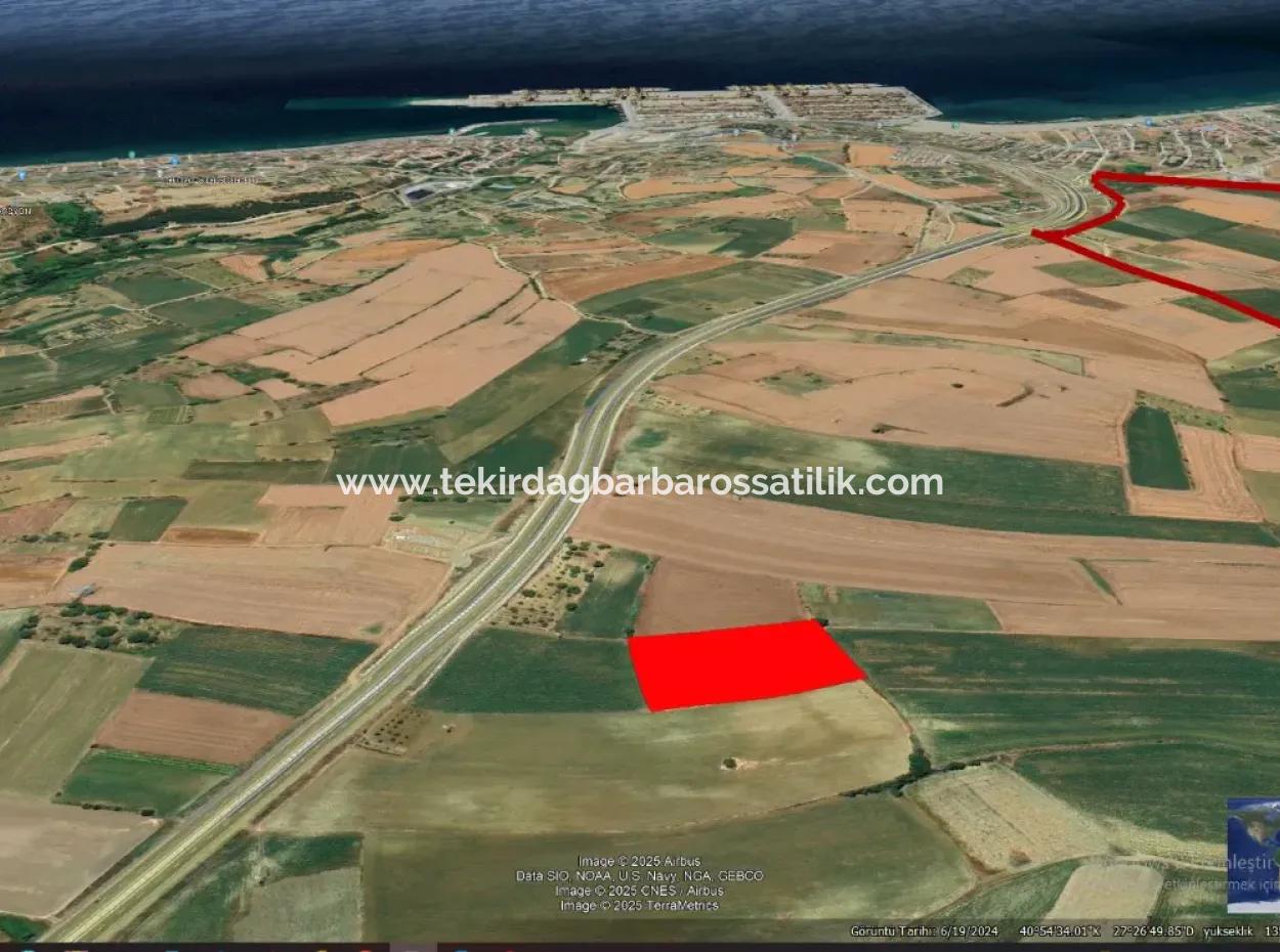 Investitionsmöglichkeit Für Gewerbe- Und Industriegebiete Im Rahmen Des Aktuellen Bebauungsplans Des Asyaport-Hafens In Der Region Tekirdağ Barbaros
