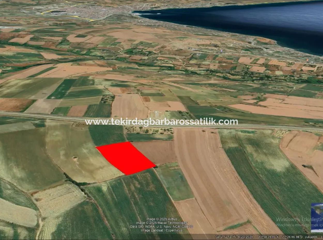 Investitionsmöglichkeit Für Gewerbe- Und Industriegebiete Im Rahmen Des Aktuellen Bebauungsplans Des Asyaport-Hafens In Der Region Tekirdağ Barbaros