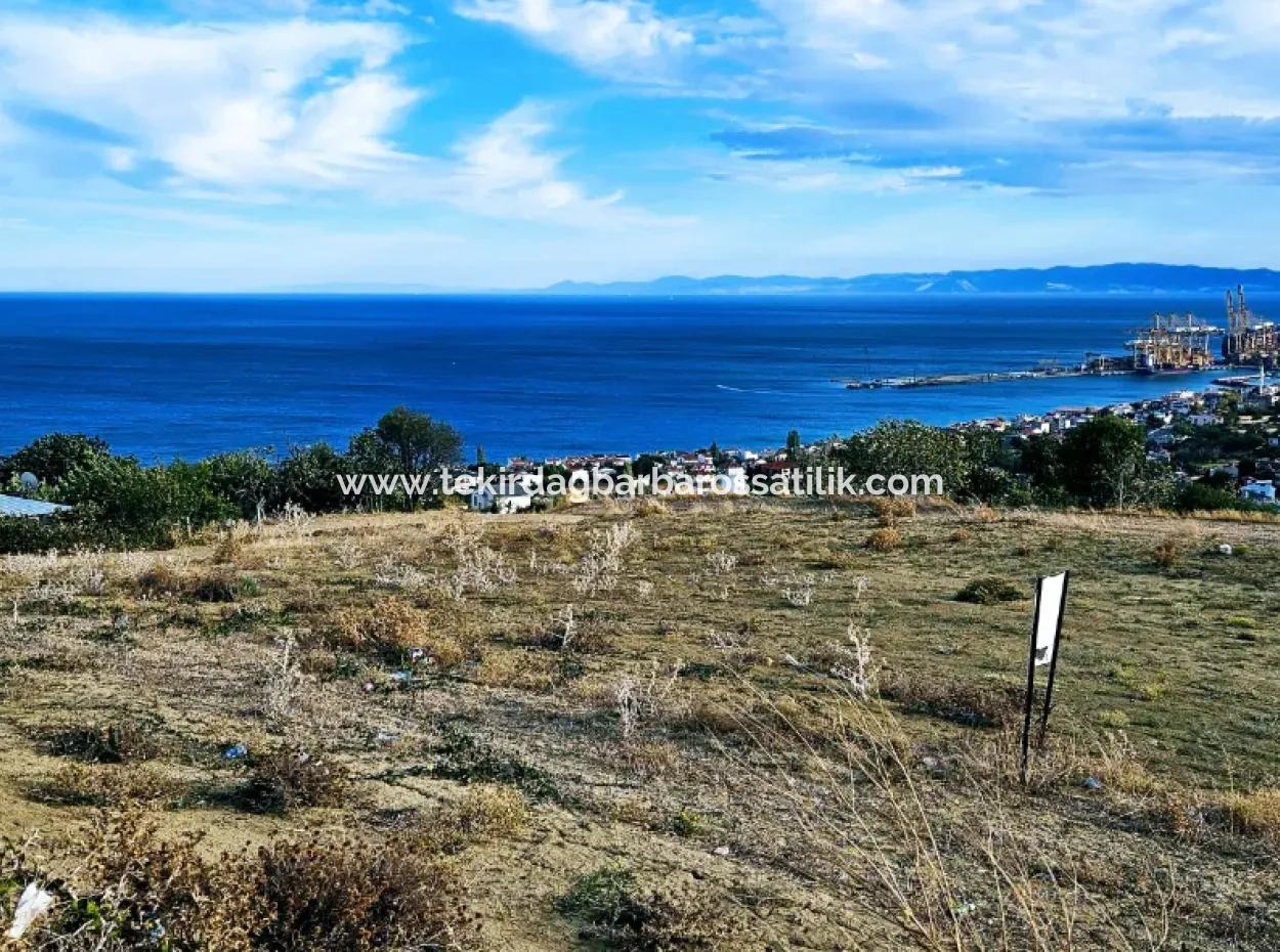 3.300 M2 Nettogrundstück, Das Für Den Bau Eines Genossenschaftsgeländes Mit Vollem Meerblick Zum Dringenden Verkauf In Tekirdag Barbarosta Geeignet Ist