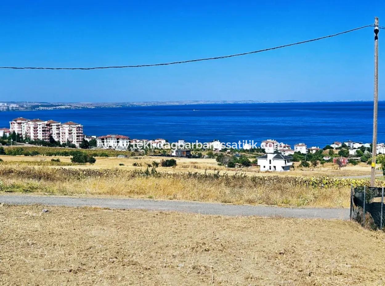 Gelegenheit Grundstück Geeignet Für Den Bau Ihres Einfamilienhauses In Ihrem Schwangeren Haus Zum Dringenden Verkauf In Tekirdag Barbarosta