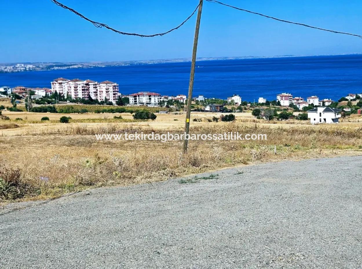 Gelegenheit Grundstück Geeignet Für Den Bau Ihres Einfamilienhauses In Ihrem Schwangeren Haus Zum Dringenden Verkauf In Tekirdag Barbarosta
