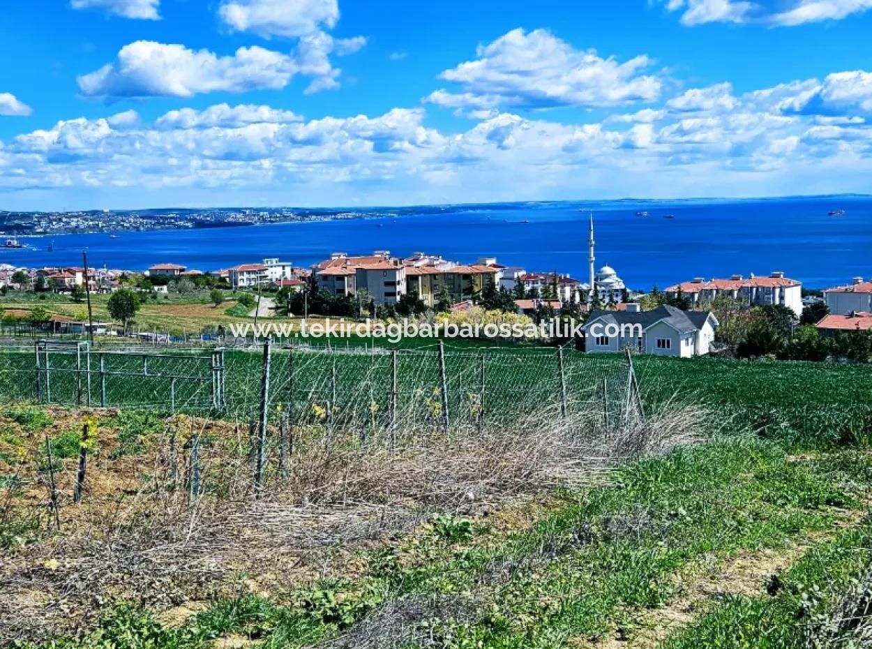 45 Wohnungen Mit Vollem Meerblick Wohngrundstück Zum Dringenden Verkauf Tekirdag Barbarosta