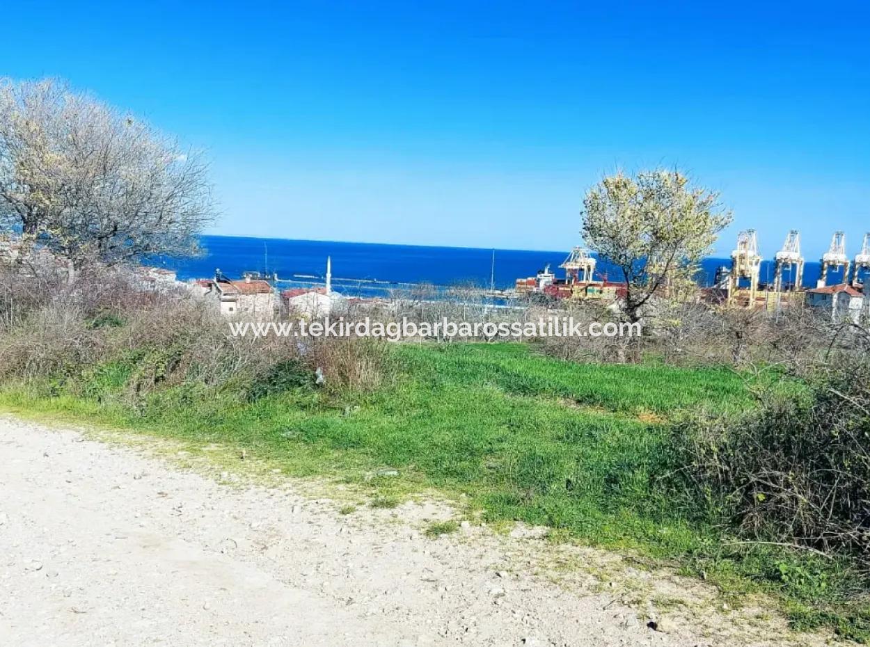 Investitionsmöglichkeit: 615 M2 Eckgrundstück Zum Verkauf In Tekirdag Barbaros - Dringender Verkauf, Meer- Und Naturblick, 0 Zonenbu Harika Konumda Ve 615 M2 Genişliğindeki Acil Satılık Köşe Arsa, Yatırımcılar Için Muazz
