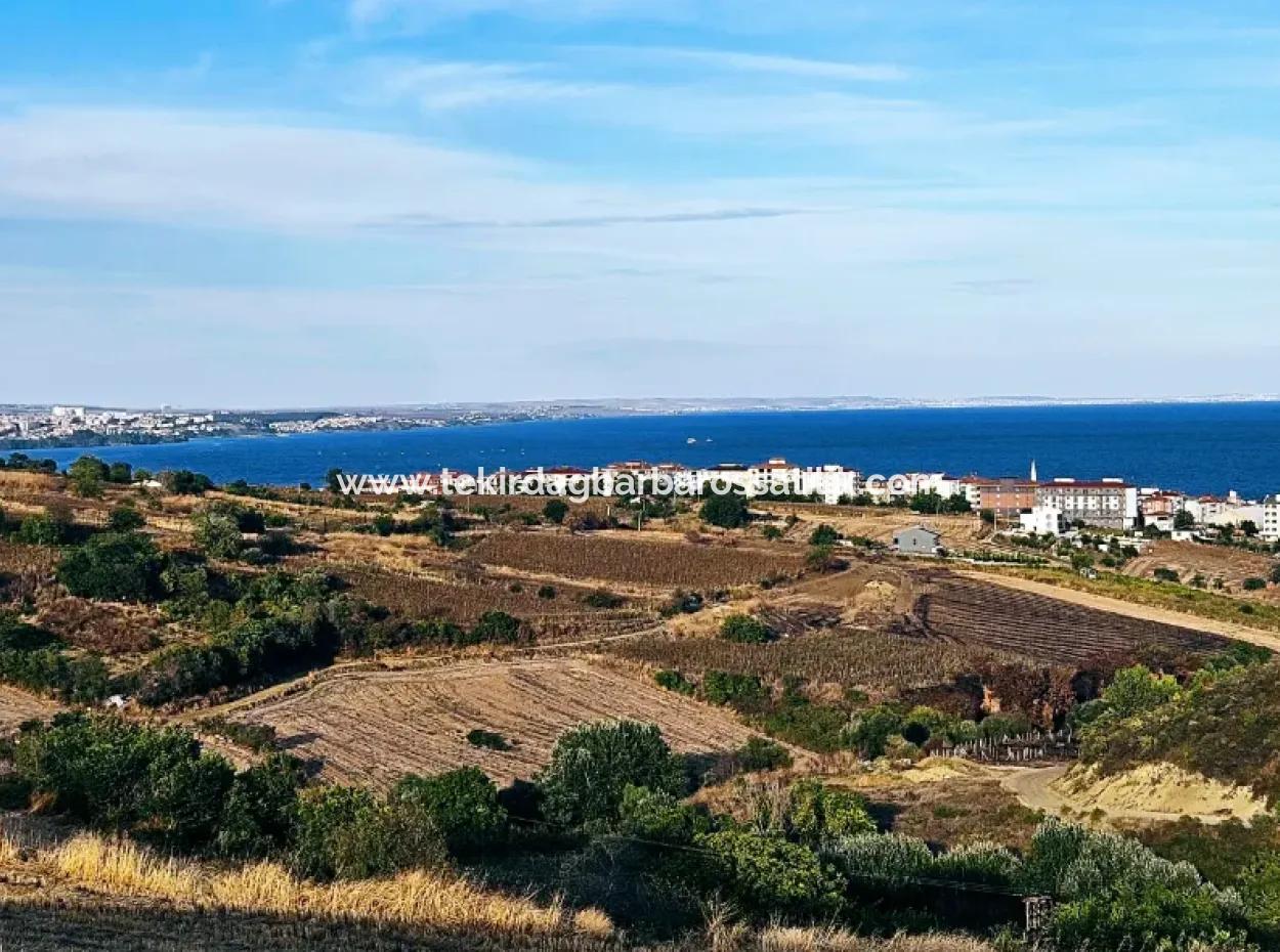 1.150 M² Großes Grundstück In Der Nähe Des Ramada Hotels In Tekirdag Suleymanpasa Barbaros - Topagac