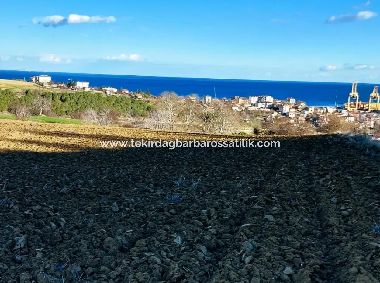 Einzigartiges 17.800 M2 Großes Wohngebiet In Der Gegend Von Süleymanpaşa Barbaros In Tekirdağ