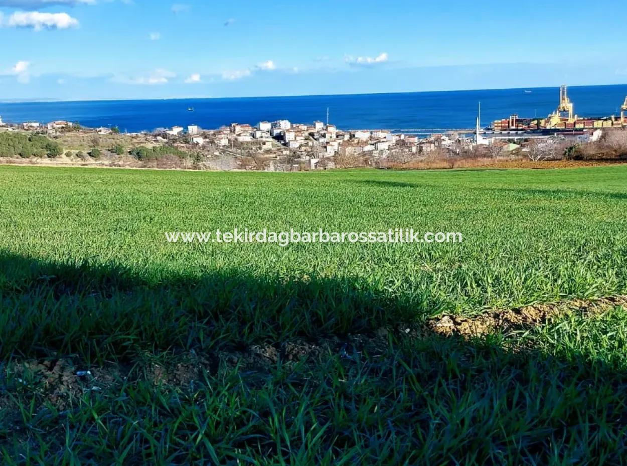 17 980 M2 Feld Zum Verkauf In Der Nähe Des Hafens Von Tekirdag Barbaros Asyaport