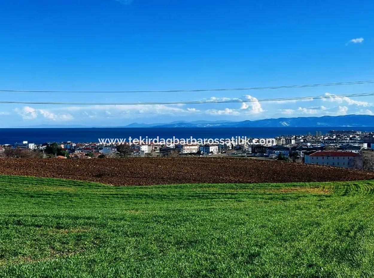 Dieses 11.100 M2 Große Wohngrundstück Befindet Sich In Süleymanpaşa Barbaros, Tekirdag, In Einer Großartigen Lage.