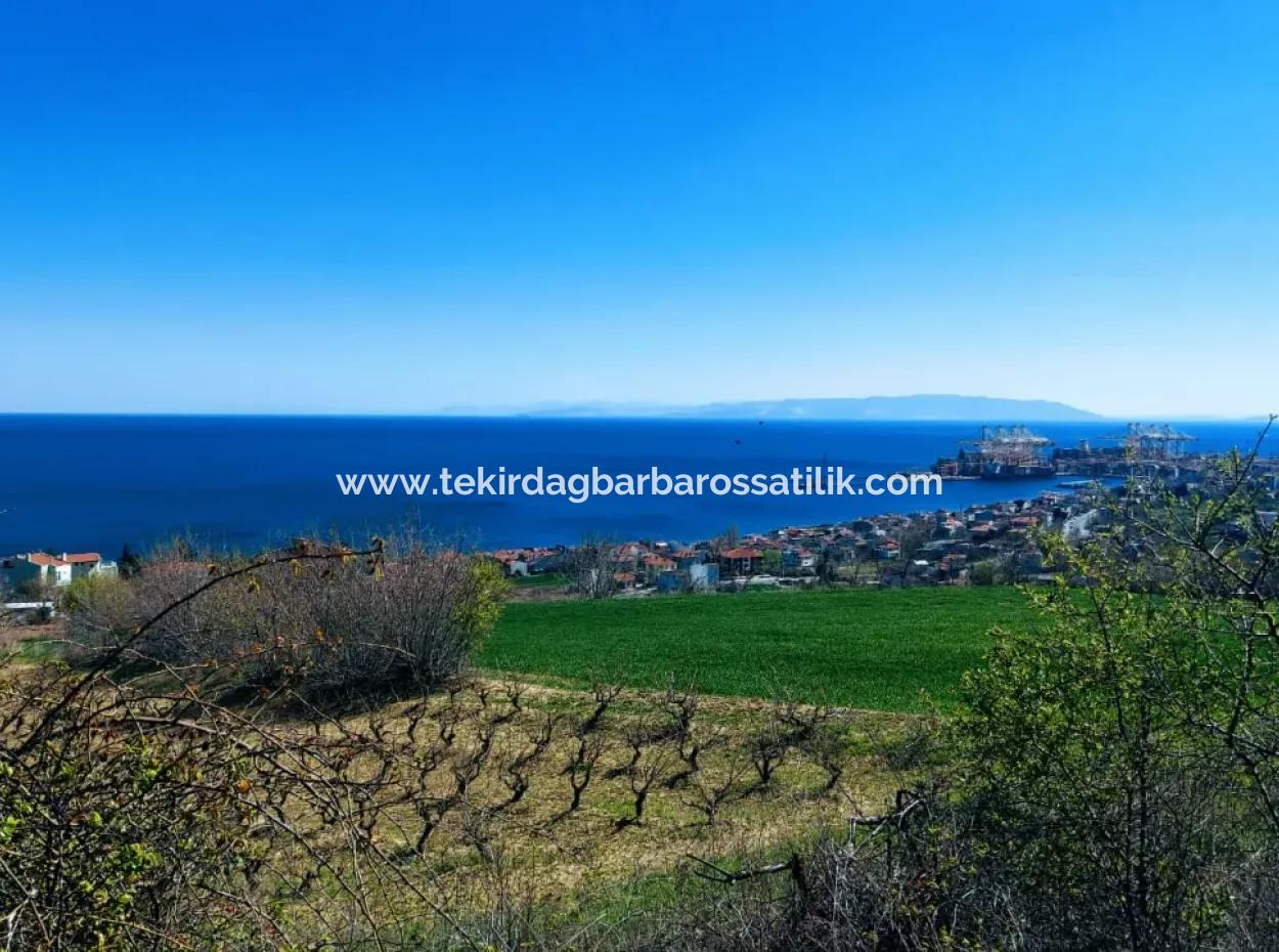 10.750 M2 Land In Tekirdag Süleymanpaşa Barbaros Verfügt Über Eine Enorme Lage, Die Sich Für Den Bau Von Genossenschaften Oder Baustellen Eignet