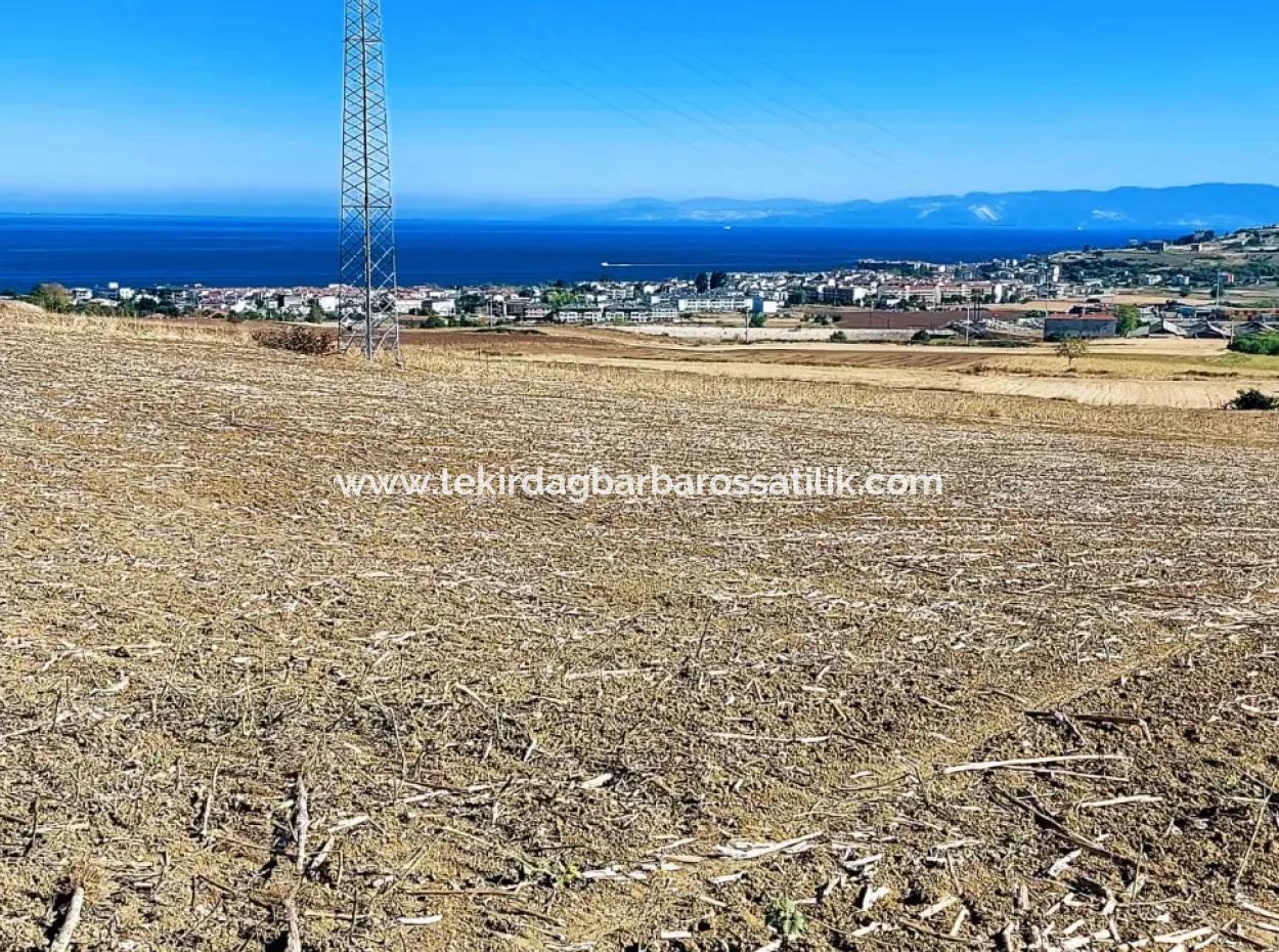 Das 21.900 M2 Große Grundstück In Tekirdağ Barbaros Befindet Sich Innerhalb Des Aktuellen Bebauungsplans Von Asyaport Port