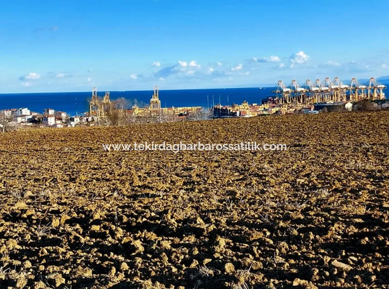 17.100 M2 Wohngebiet Mit Herrlicher Aussicht, In Der Nähe Des Hafens Tekirdağ Barbaros Asyaport