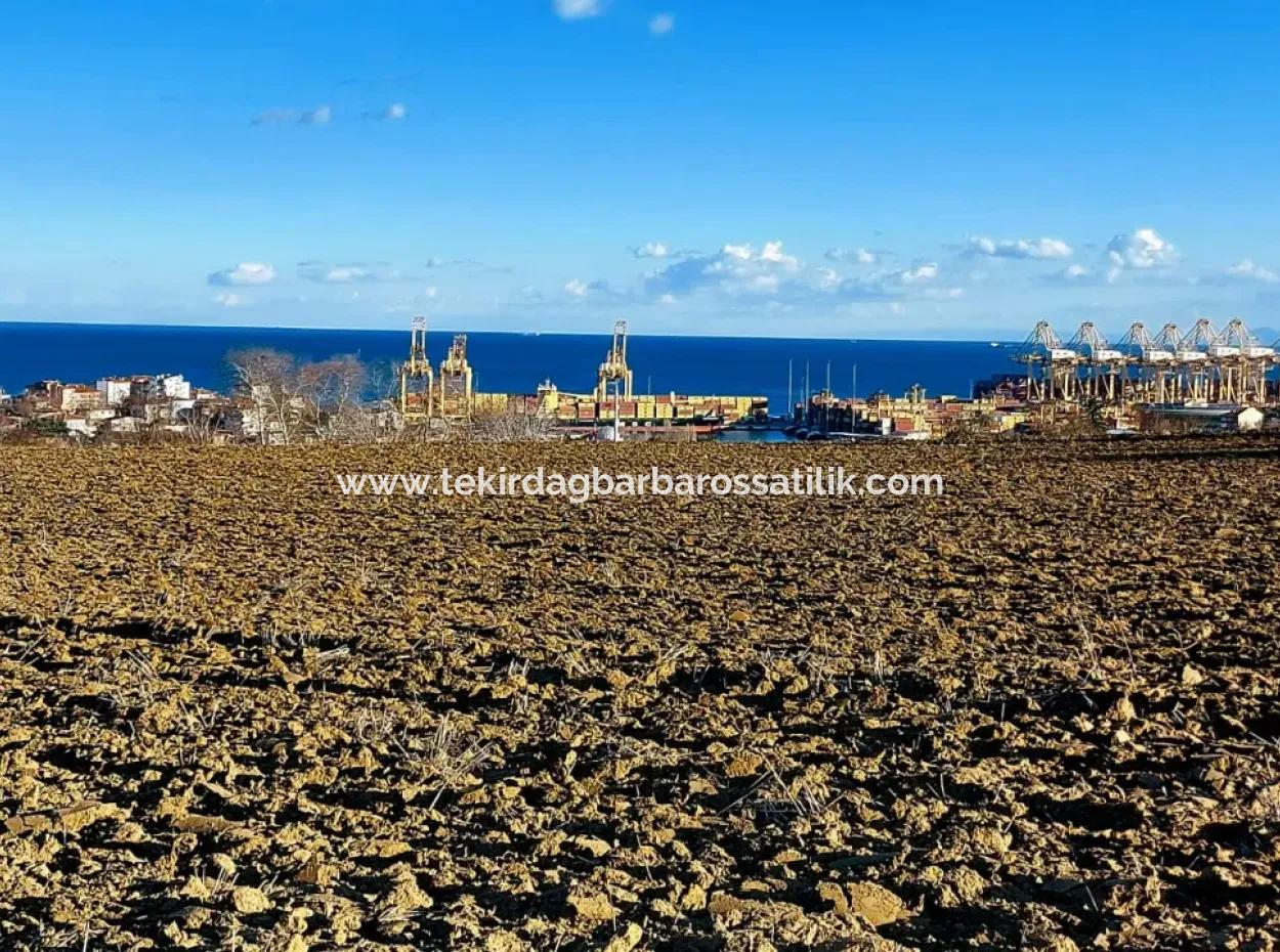 17.100 M2 Wohngebiet Mit Herrlicher Aussicht, In Der Nähe Des Hafens Tekirdağ Barbaros Asyaport