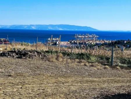 765 M2 Schnäppchengrundstück Mit Vollem Meerblick Zum Dringenden Verkauf In Tekirdag Barbarosta