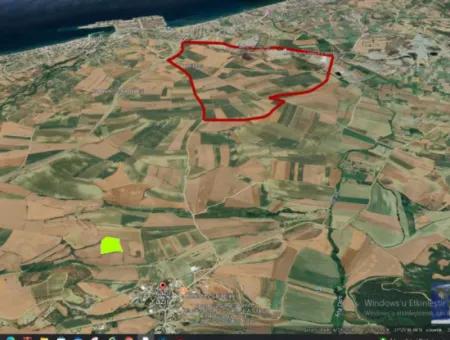 Der Hafen Von Azyaport Liegt In Der Nähe Des Bestehenden Zoning 16.100 Emergency Sale Investment Bargain Coupon-Feldes