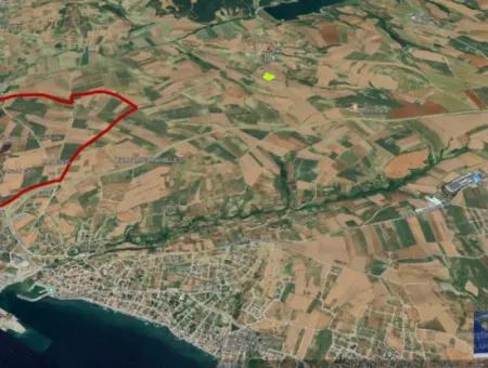 Der Hafen Von Azyaport Liegt In Der Nähe Des Bestehenden Zoning 16.100 Emergency Sale Investment Bargain Coupon-Feldes