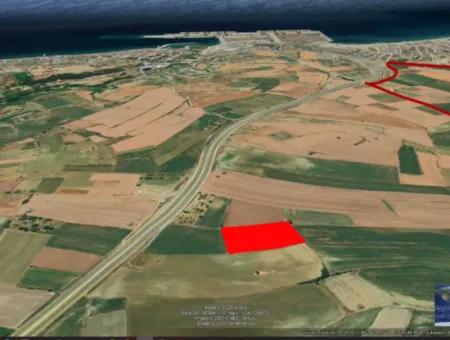 Investitionsmöglichkeit Für Gewerbe- Und Industriegebiete Im Rahmen Des Aktuellen Bebauungsplans Des Asyaport-Hafens In Der Region Tekirdağ Barbaros