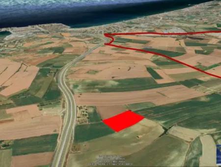 Investitionsmöglichkeit Für Gewerbe- Und Industriegebiete Im Rahmen Des Aktuellen Bebauungsplans Des Asyaport-Hafens In Der Region Tekirdağ Barbaros