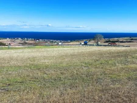 15.000 M2 Villengrundstück Zum Dringenden Verkauf In Tekirdag Barbarosta