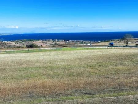 15.000 M2 Villengrundstück Zum Dringenden Verkauf In Tekirdag Barbarosta