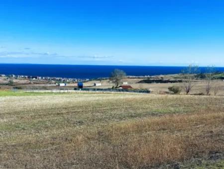 15.000 M2 Villengrundstück Zum Dringenden Verkauf In Tekirdag Barbarosta
