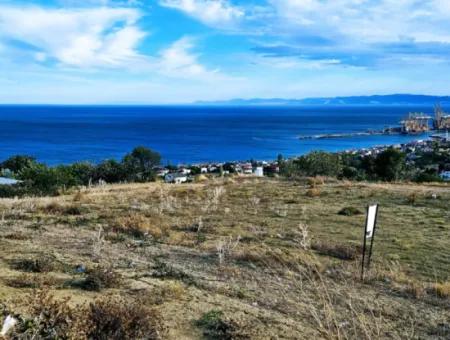 3.300 M2 Nettogrundstück, Das Für Den Bau Eines Genossenschaftsgeländes Mit Vollem Meerblick Zum Dringenden Verkauf In Tekirdag Barbarosta Geeignet Ist