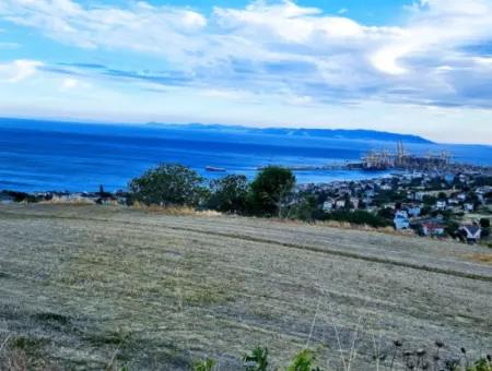 3.300 M2 Nettogrundstück, Das Für Den Bau Eines Genossenschaftsgeländes Mit Vollem Meerblick Zum Dringenden Verkauf In Tekirdag Barbarosta Geeignet Ist