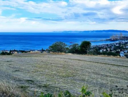 3.300 M2 Nettogrundstück, Das Für Den Bau Eines Genossenschaftsgeländes Mit Vollem Meerblick Zum Dringenden Verkauf In Tekirdag Barbarosta Geeignet Ist