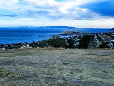 3.300 M2 Nettogrundstück, Das Für Den Bau Eines Genossenschaftsgeländes Mit Vollem Meerblick Zum Dringenden Verkauf In Tekirdag Barbarosta Geeignet Ist