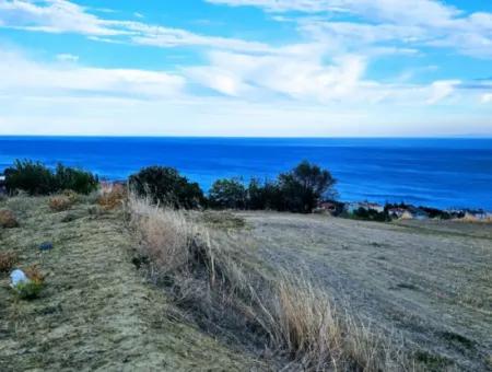 3.300 M2 Nettogrundstück, Das Für Den Bau Eines Genossenschaftsgeländes Mit Vollem Meerblick Zum Dringenden Verkauf In Tekirdag Barbarosta Geeignet Ist