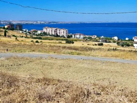 Gelegenheit Grundstück Geeignet Für Den Bau Ihres Einfamilienhauses In Ihrem Schwangeren Haus Zum Dringenden Verkauf In Tekirdag Barbarosta