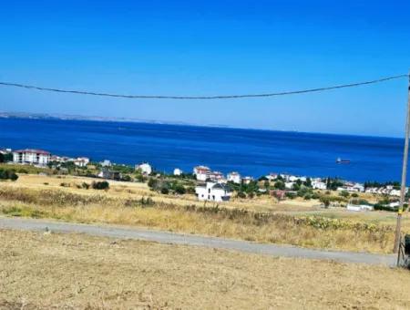 Gelegenheit Grundstück Geeignet Für Den Bau Ihres Einfamilienhauses In Ihrem Schwangeren Haus Zum Dringenden Verkauf In Tekirdag Barbarosta