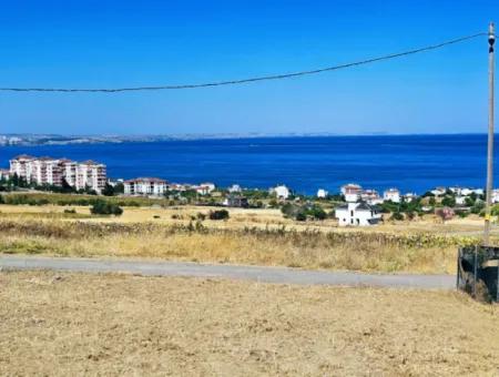 Gelegenheit Grundstück Geeignet Für Den Bau Ihres Einfamilienhauses In Ihrem Schwangeren Haus Zum Dringenden Verkauf In Tekirdag Barbarosta