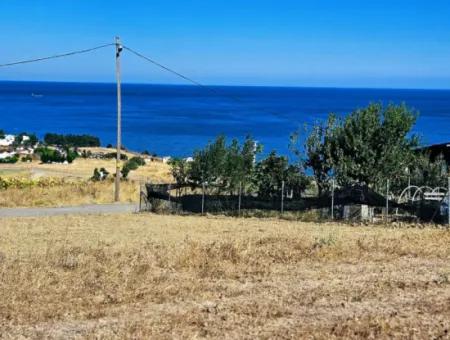 Gelegenheit Grundstück Geeignet Für Den Bau Ihres Einfamilienhauses In Ihrem Schwangeren Haus Zum Dringenden Verkauf In Tekirdag Barbarosta