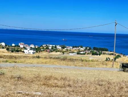 Gelegenheit Grundstück Geeignet Für Den Bau Ihres Einfamilienhauses In Ihrem Schwangeren Haus Zum Dringenden Verkauf In Tekirdag Barbarosta