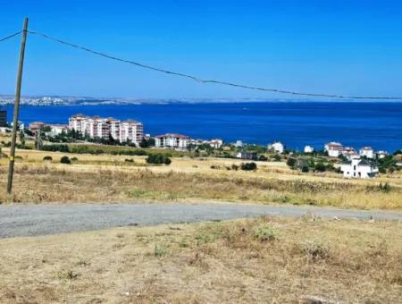 Gelegenheit Grundstück Geeignet Für Den Bau Ihres Einfamilienhauses In Ihrem Schwangeren Haus Zum Dringenden Verkauf In Tekirdag Barbarosta