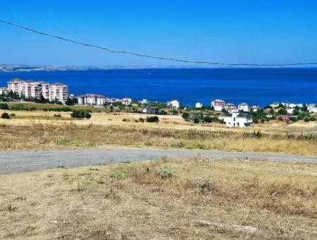 Gelegenheit Grundstück Geeignet Für Den Bau Ihres Einfamilienhauses In Ihrem Schwangeren Haus Zum Dringenden Verkauf In Tekirdag Barbarosta