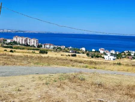 Gelegenheit Grundstück Geeignet Für Den Bau Ihres Einfamilienhauses In Ihrem Schwangeren Haus Zum Dringenden Verkauf In Tekirdag Barbarosta