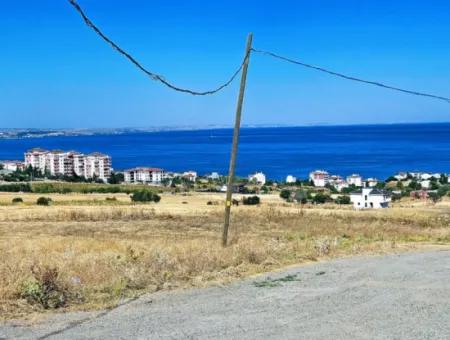 Gelegenheit Grundstück Geeignet Für Den Bau Ihres Einfamilienhauses In Ihrem Schwangeren Haus Zum Dringenden Verkauf In Tekirdag Barbarosta