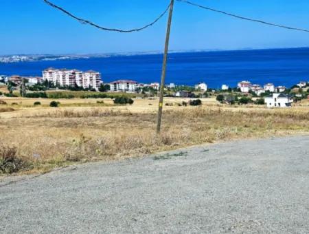 Gelegenheit Grundstück Geeignet Für Den Bau Ihres Einfamilienhauses In Ihrem Schwangeren Haus Zum Dringenden Verkauf In Tekirdag Barbarosta