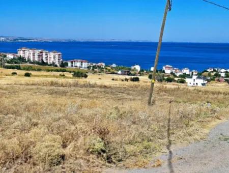 Gelegenheit Grundstück Geeignet Für Den Bau Ihres Einfamilienhauses In Ihrem Schwangeren Haus Zum Dringenden Verkauf In Tekirdag Barbarosta