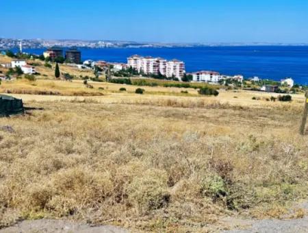Gelegenheit Grundstück Geeignet Für Den Bau Ihres Einfamilienhauses In Ihrem Schwangeren Haus Zum Dringenden Verkauf In Tekirdag Barbarosta