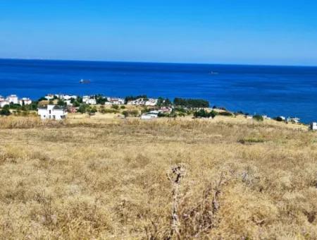 Gelegenheit Grundstück Geeignet Für Den Bau Ihres Einfamilienhauses In Ihrem Schwangeren Haus Zum Dringenden Verkauf In Tekirdag Barbarosta