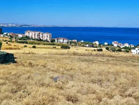 Gelegenheit Grundstück Geeignet Für Den Bau Ihres Einfamilienhauses In Ihrem Schwangeren Haus Zum Dringenden Verkauf In Tekirdag Barbarosta