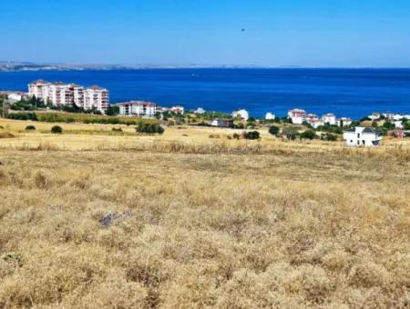 Gelegenheit Grundstück Geeignet Für Den Bau Ihres Einfamilienhauses In Ihrem Schwangeren Haus Zum Dringenden Verkauf In Tekirdag Barbarosta