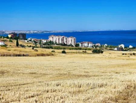 Gelegenheit Grundstück Geeignet Für Den Bau Ihres Einfamilienhauses In Ihrem Schwangeren Haus Zum Dringenden Verkauf In Tekirdag Barbarosta