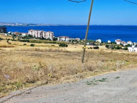 Gelegenheit Grundstück Geeignet Für Den Bau Ihres Einfamilienhauses In Ihrem Schwangeren Haus Zum Dringenden Verkauf In Tekirdag Barbarosta
