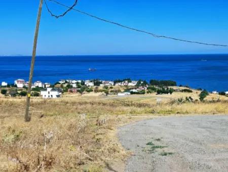 Gelegenheit Grundstück Geeignet Für Den Bau Ihres Einfamilienhauses In Ihrem Schwangeren Haus Zum Dringenden Verkauf In Tekirdag Barbarosta