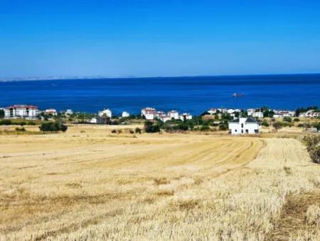 Gelegenheit Grundstück Geeignet Für Den Bau Ihres Einfamilienhauses In Ihrem Schwangeren Haus Zum Dringenden Verkauf In Tekirdag Barbarosta