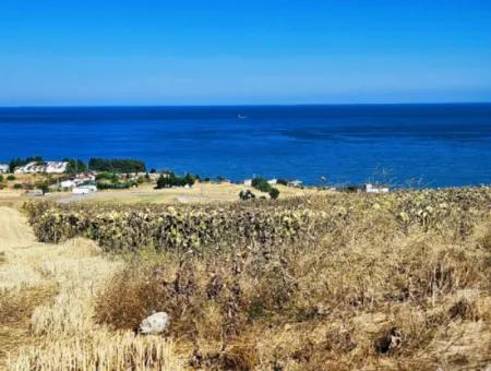Gelegenheit Grundstück Geeignet Für Den Bau Ihres Einfamilienhauses In Ihrem Schwangeren Haus Zum Dringenden Verkauf In Tekirdag Barbarosta