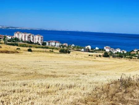 Gelegenheit Grundstück Geeignet Für Den Bau Ihres Einfamilienhauses In Ihrem Schwangeren Haus Zum Dringenden Verkauf In Tekirdag Barbarosta