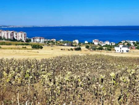 Gelegenheit Grundstück Geeignet Für Den Bau Ihres Einfamilienhauses In Ihrem Schwangeren Haus Zum Dringenden Verkauf In Tekirdag Barbarosta